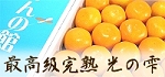 �ǹ�顢���ꤹ����򲽾�Ȣ�����줿�ɸ��μ���