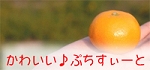 ���襤����γ�פ���������