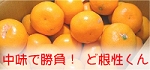 �櫓���꺮��ɺ�������