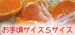 ���꺢������S������