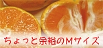 ����ä�;͵��M������