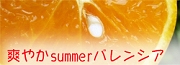 �֤䤫summer�Х�󥷥�